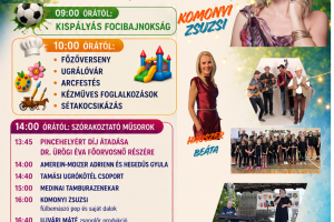 falunap2026
