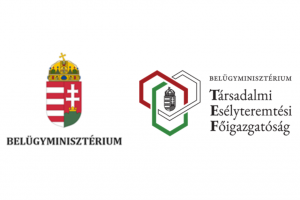 BM TEF logo
